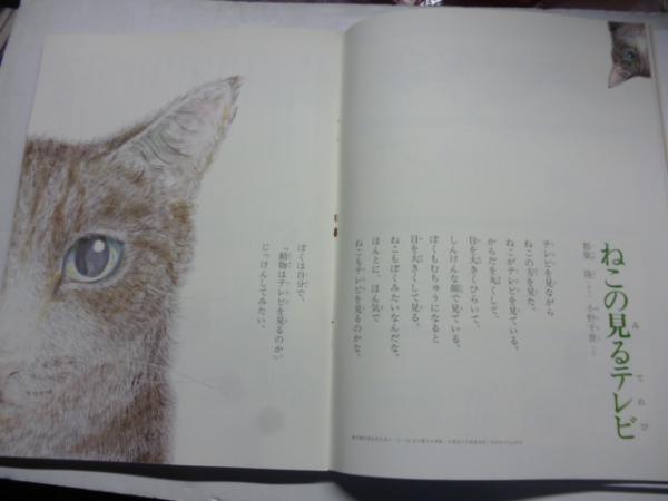 月刊 いちごえほん 昭和52年6月号 1977年 ○あんぱんまん