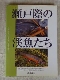 瀬戸際の渓魚たち