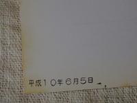 瀬戸際の渓魚たち