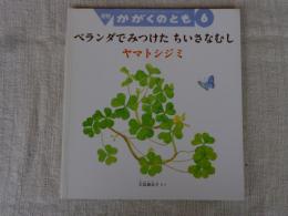 ベランダでみつけたちいさなむし : ヤマトシジミ