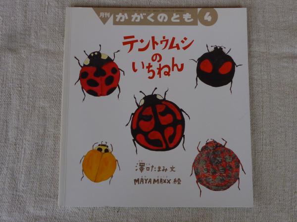 テントウムシの いちねん｜福音館書店