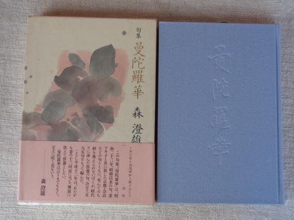 安田成美 : 「真夏姫」(山岸伸 撮影) / がらんどう / 古本、中古