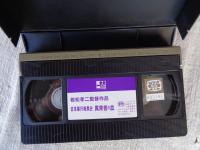 日本暴行暗黒史 異常者の血　若松孝二監督作品　(VHSビデオ)