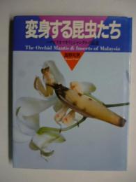 変身する昆虫たち : ハナビラカマキリとジャングルの昆虫