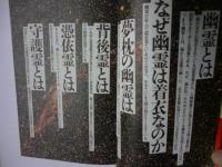 新幽霊科学 : 神秘体験のベールを剥ぐ バシャールから宜保愛子まで