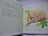 すばやいどうぶつ　のろまなどうぶつ　なーんだ?　(どっちがどっち？)