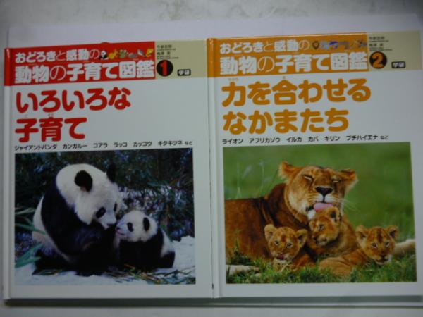 おどろきと感動の動物の子育て図鑑 全6巻(今泉忠明、梅澤実