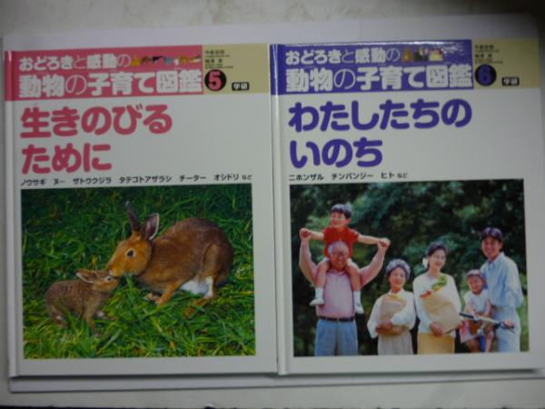 在庫処分 半額 おどろきと感動の動物の子育て図鑑 全6巻(今泉忠明、梅澤実 絵本+児童書
