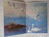 ひかりのくに　昭和40年11月号　「はくちょうの ちびくん」水沢 泱(絵)