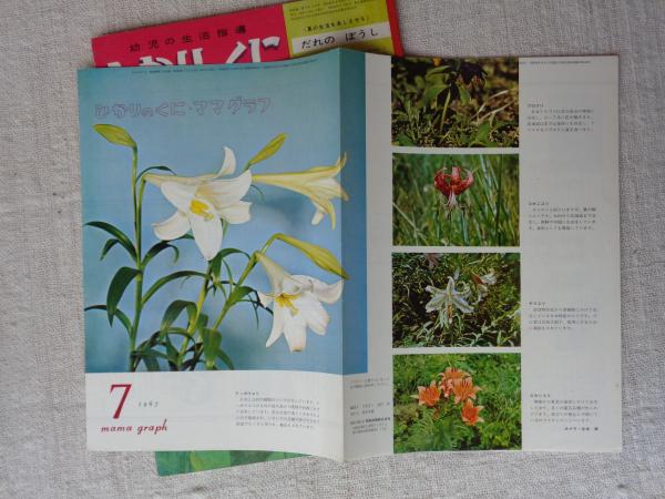ひかりのくに 昭和42年7月号 「だれの ぼうし」鈴木義治(絵 ひかりのくに 昭和42年7月号 「だれの ぼうし」鈴木義治(絵