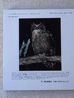 しまふくろう : どきどきしぜん