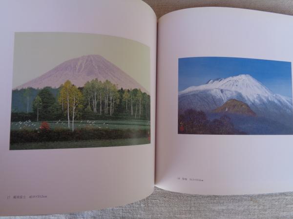 水の響 二川和之展 (高松天満屋開店五周年記念) / 古本、中古本、古