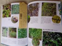 コケに誘われコケ入門