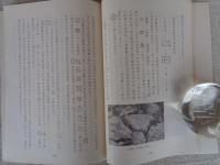 三州吉田城の石垣と刻印