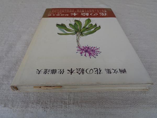 花の画集 定本  /東京新聞出版部/佐藤達夫（大型本） SATO'S FLORA 佐藤達夫–花の画集–〝 a 〟／【古書】 | vuori