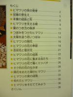 ヒマワリ　観察ブック