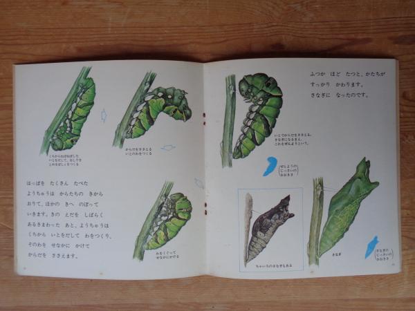 はじめてであう科学絵本　かがくのとも　102冊セット fit=scale-down,w=1200