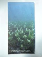 信州の「花・植物群落」百選　(長野県観光みどころシリーズ5)