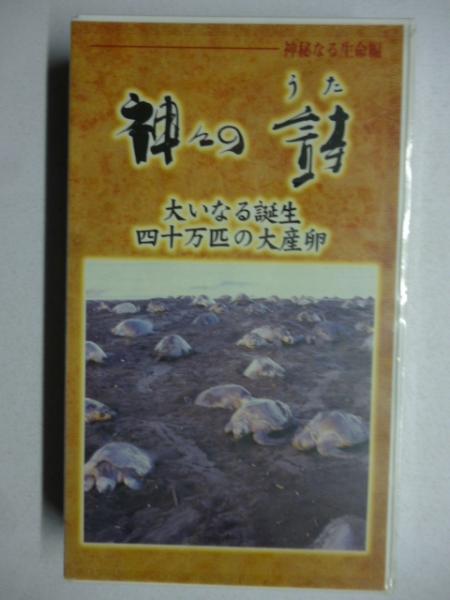 唐宋八大家文字引大全 : 鼇頭集解(行徳敬二郎編纂 ; 關徳校閲