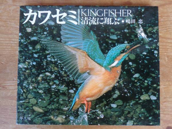 カワセミ : 清流に翔ぶ(嶋田忠 著) / 古本、中古本、古書籍の