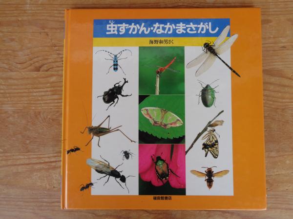 夏の虫 夏の花 645種の身近な生きものの世界 - 絵本