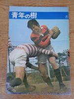 青年の樹 / 若い人　●東宝映画パンフレット