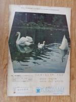 よいこのくに　昭和37年6月号　(保育絵本よいこのくに第11巻第3号)
