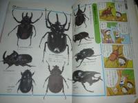 カブトムシ・クワガタのひみつ　学研まんが　(ひみつシリーズ20)