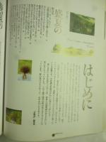 あこがれの野の花アレンジ : 四季の花物語　(主婦の友生活シリーズ)