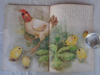幼児の生活指導 「ひかりのくに」昭和37年4月号(第17巻第4号　●たんぽぽさん：飯島敏子(文) 深沢邦朗(絵)