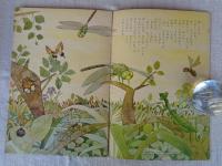 幼児の生活指導 「ひかりのくに」昭和37年7月号(第17巻第7号 ●「ぼくは ぎんやんま」八代球磨男(文) 深沢邦朗(絵)