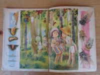 幼児の生活指導 「ひかりのくに」昭和30年8月号(第10巻第8号　「まちのこ むらのこ」水沢 泱(画　裏表紙「クリちゃん」ねもとすすむ