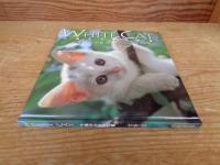 White cat : 子猫の小さな冒険　（サイン入り）