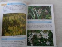 ひらつか野の花　植物図鑑　上巻(春～初夏)