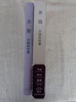 句集　井筒　平成俳句叢書2