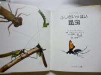 ふしぎいっぱい　昆虫　(Amazing worlds)