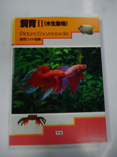 台湾現代文学の考察 : 現代作家と政治(小山三郎 著