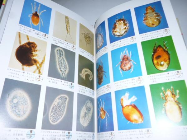 原色ワイド図鑑 顕微鏡の世界 / 古本、中古本、古書籍の通販は「日本の