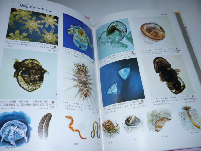 原色ワイド図鑑 顕微鏡の世界 / 古本、中古本、古書籍の通販は「日本の