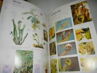 原色ワイド図鑑　花・作物