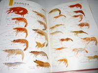原色ワイド図鑑　水の生物