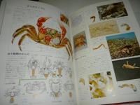 原色ワイド図鑑　水の生物