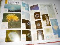 原色ワイド図鑑　水の生物