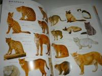 原色ワイド図鑑 動物 / 古本、中古本、古書籍の通販は「日本の古本屋