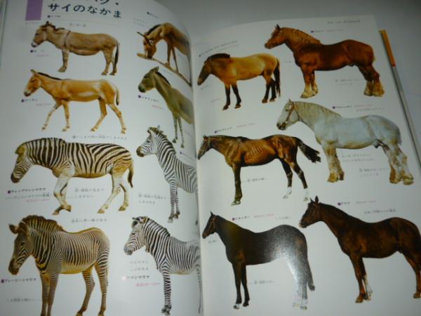 原色ワイド図鑑