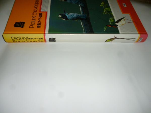 い55-051 鳥 原色学習ワイド図鑑 Picture Encyclopedi a 4 - 図鑑