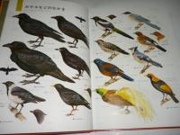 原色ワイド図鑑　鳥