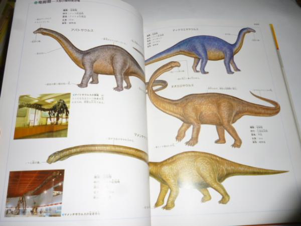 鳥類の図鑑 小学館の学習百科図鑑4