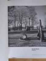 Noriaki Maeda　 sculptures　：YORKSHIRE SCULPTURE PARK