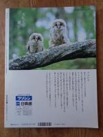太陽　1993年7月号(No.385)　●特集：人間の現在 世界の知性11人による特別寄稿/マグナム写真家集団10人による特写　★第30回太陽賞発表